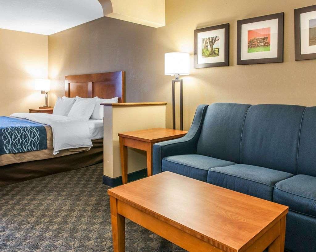 Comfort Inn & Suites Napoleon Ruang foto
